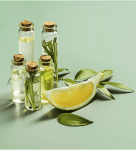 Mesa de trabajo 59 copia 3-8