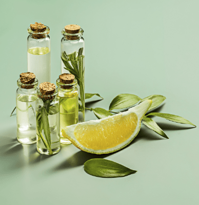 Mesa de trabajo 59 copia 3-8