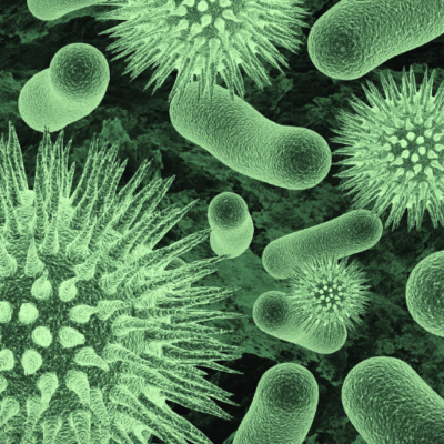 Mesa de trabajo 91 copia 10-8 Mesa de trabajo 91 copia 10-8