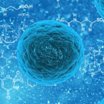 Mesa de trabajo 91 copia 14-8 Mesa de trabajo 91 copia 14-8