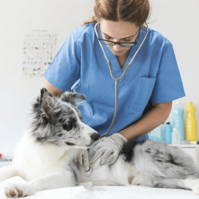 Mesa de trabajo 91 copia 15-8 Mesa de trabajo 91 copia 15-8