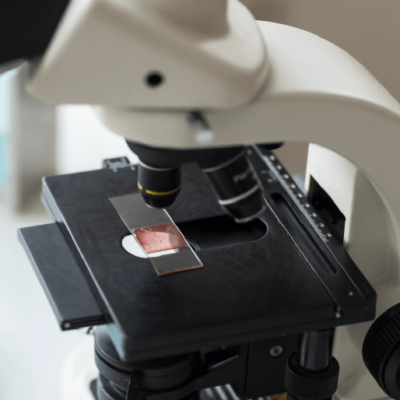 Mesa de trabajo 91 copia 7-8 Mesa de trabajo 91 copia 7-8